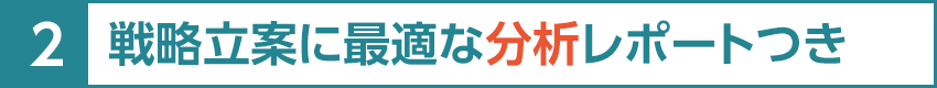 2.戦略立案に最適な分析レポートつき